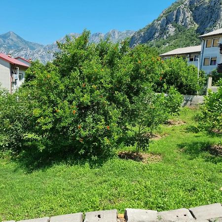 Apartments Luka Kotor Dış mekan fotoğraf