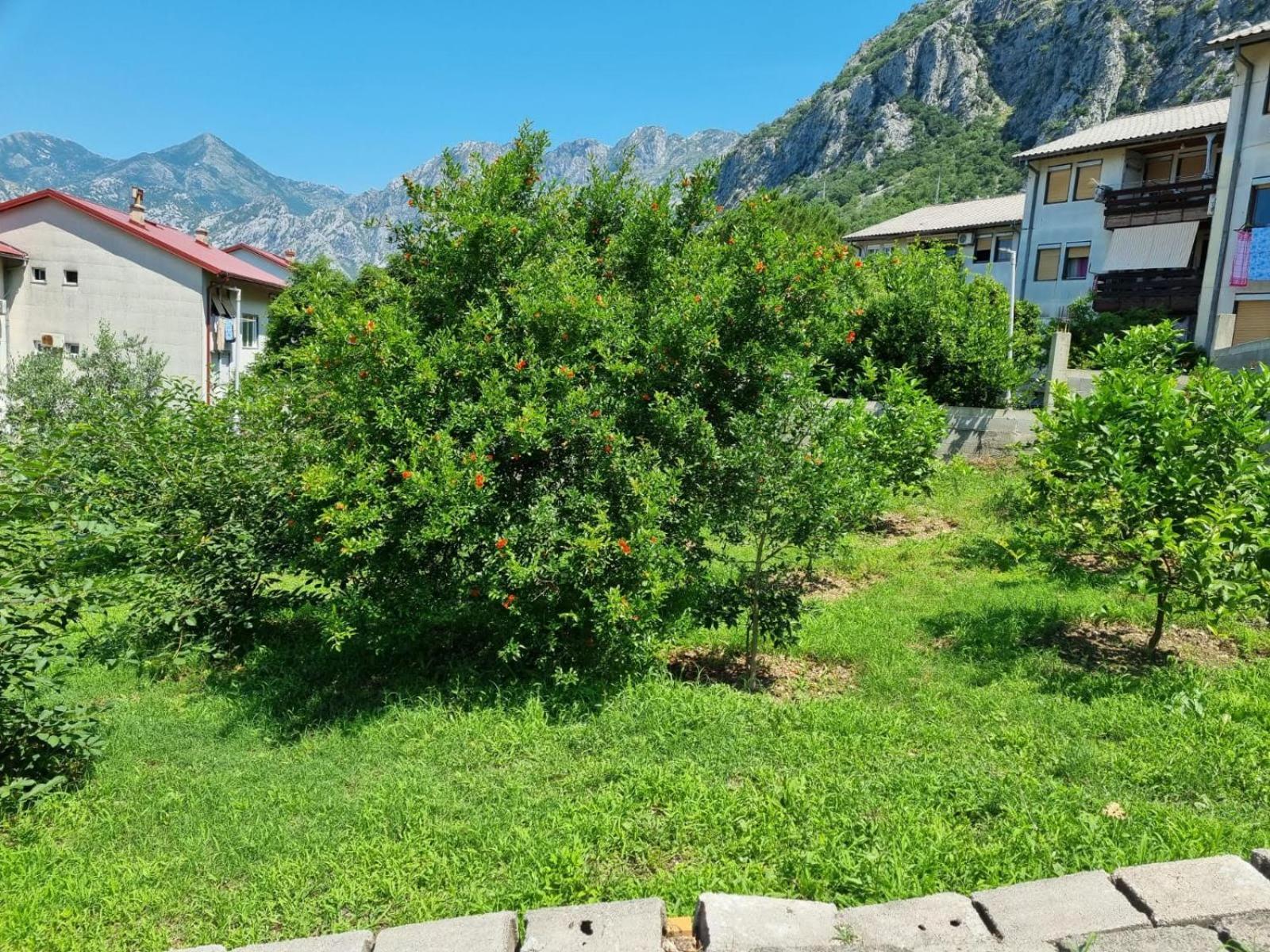 Apartments Luka Kotor Dış mekan fotoğraf